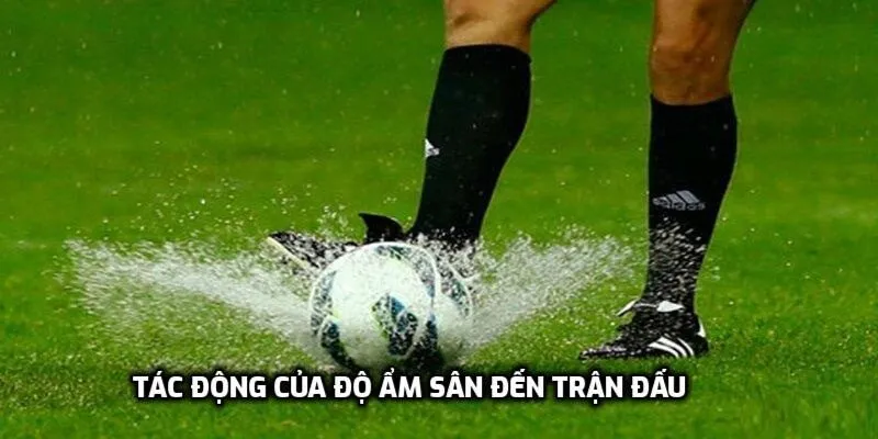 Tác động của độ ẩm sân đến trận đấu